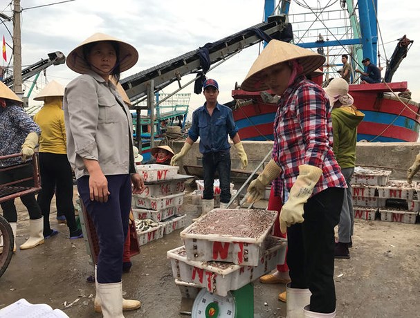 Địa chỉ kinh doanh hải sản Nghệ An tại Hà Nội