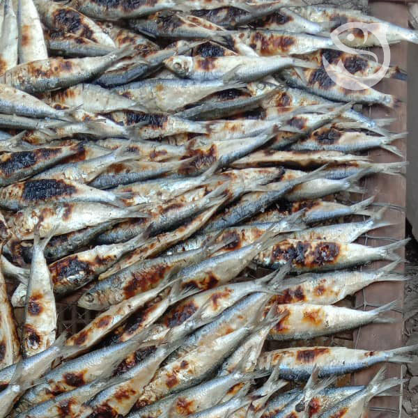 Cá trích nướng Quỳnh Lưu-Nghệ An